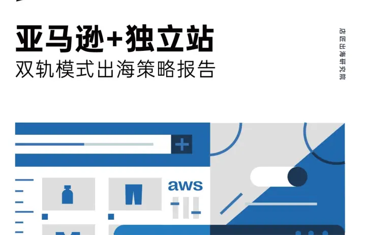 亚马逊 独立站 双轨模式出海策略报告