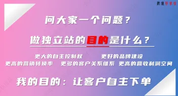 林东泳ppt《独立站用户消费成长》