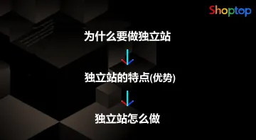 沈海龙ppt《独立站：解读出海营销》
