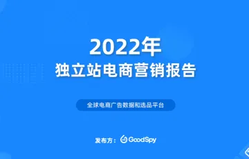 goodspy独立站电商营销报告