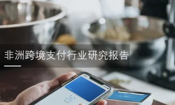 非程创新:非洲跨境支付行业研究报告